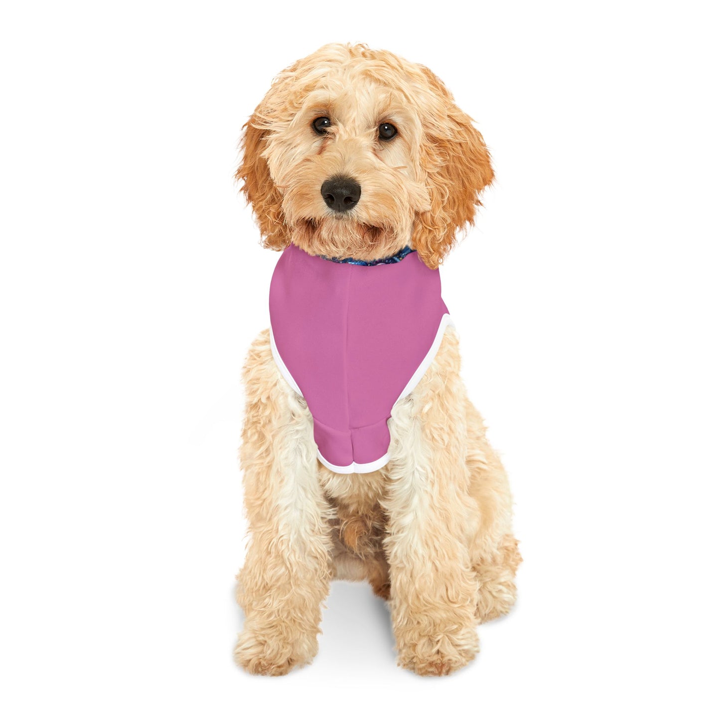 Pet Hoodie - Posh Pooch Jacket for Spoiled Dog